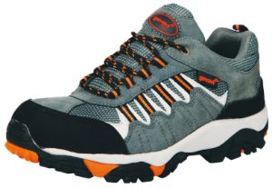 Afbeelding - 7692236-7692247-jpg